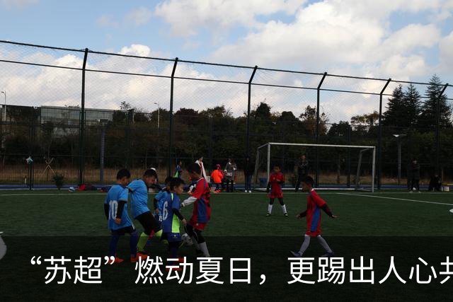 “苏超”燃动夏日，更踢出人心共鸣